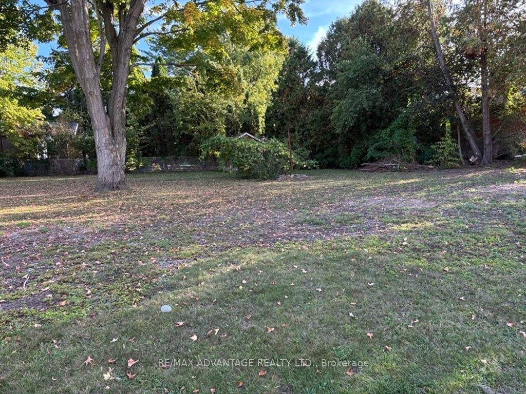 001 Woodbine Street — photo 1